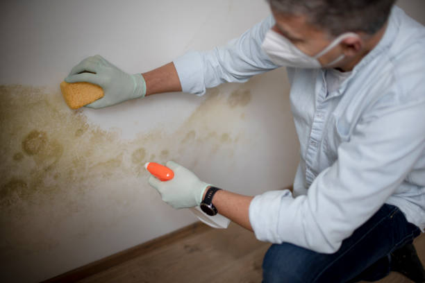 Best Crawl Space Mold Remediation in Tyrone, GA