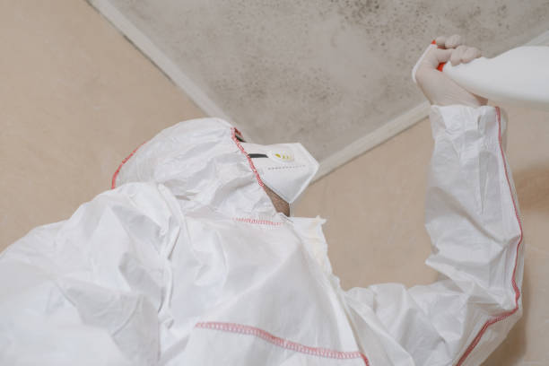 Professional Mold Remediation in Tyrone, GA