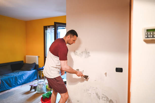 Tyrone, GA Mold Remediation Company